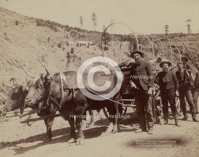 Gold Fever Prospectors going to the new Gold Field, 1889. Creator: John C. H. Grabill.