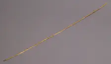 Gold Strip, Avar, 700s. Creator: Unknown