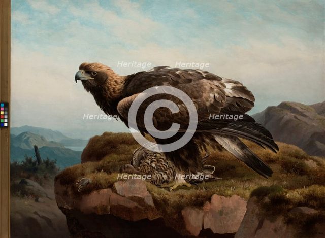 Golden Eagle at a Cliff's Edge, 1880. Creator: Ferdinand von Wright.
