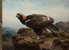 Golden Eagle at a Cliff's Edge, 1880. Creator: Ferdinand von Wright