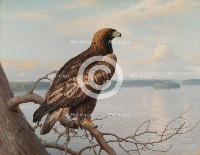 Golden Eagle by a Lake, 1897. Creator: Ferdinand von Wright.