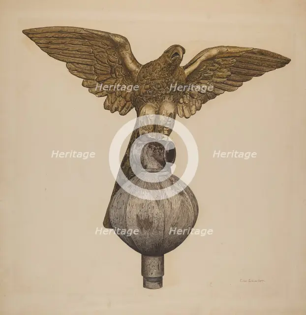 Golden Eagle, c. 1941. Creator: Clarence W Dawson.
