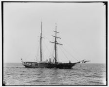 Golden Fleece, 1891 Aug 8. Creator: Unknown