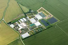 Golden Grove Nursery, Lincolnshire, 2019. Creator: Emma Trevarthen