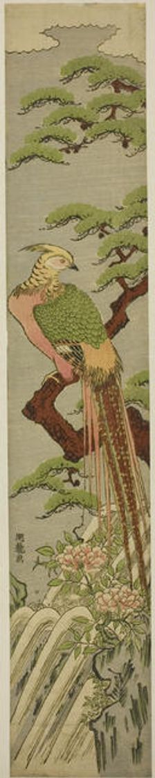 Golden Pheasant on a Pine Tree above Peonies and Waterfall, c. 1780. Creator: Isoda Koryusai