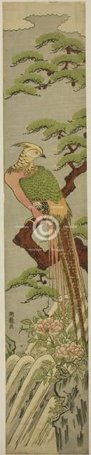 Golden Pheasant on a Pine Tree above Peonies and Waterfall, c. 1780. Creator: Isoda Koryusai.
