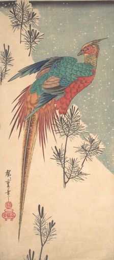 Golden Pheasant and Pine Shoots in Snow , ca. 1835., ca. 1835. Creator: Ando Hiroshige
