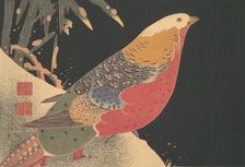 Golden Pheasant in the Snow, ca. 1900. Creator: Ito Jakuchu
