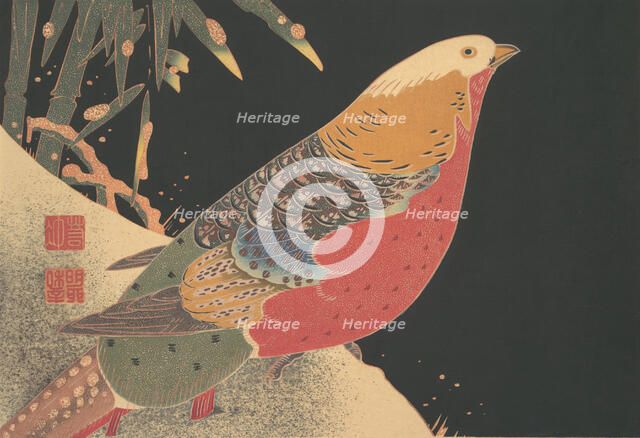 Golden Pheasant in the Snow, ca. 1900. Creator: Ito Jakuchu.
