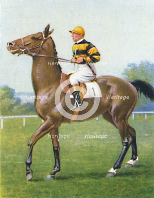 Golden Sovereign, Jockey: T. Weston', 1939. Artist: Unknown.