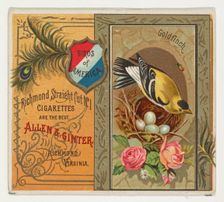 Goldfinch, from the Birds of America series (N37) for Allen & Ginter Cigarettes, 1888. Creator: Allen & Ginter