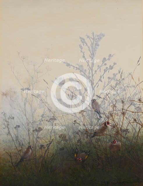 Goldfinches, 1864. Creator: Leon Bonvin.