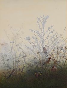 Goldfinches, 1864. Creator: Leon Bonvin