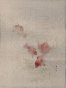 Goldfish, ca. 1887. Creator: Watanabe Seitei
