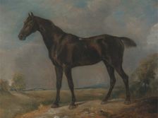 Golding Constable's Black Riding-Horse, between 1805 and 1810. Creator: John Constable