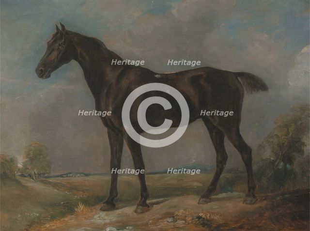 Golding Constable's Black Riding-Horse, between 1805 and 1810. Creator: John Constable.