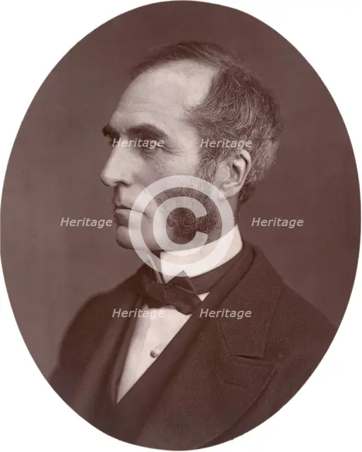 Goldwin Smith, Professor, 1878.  Creator: Lock & Whitfield.