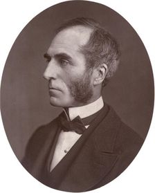 Goldwin Smith, Professor, 1878. Creator: Lock & Whitfield