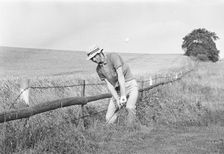 Golfer playing from a bad lie in deep rough, nearly out of bounds, Sweden, 1969