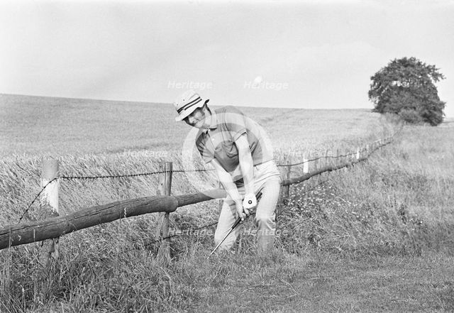 Golfer playing from a bad lie in deep rough, nearly out of bounds, Sweden, 1969. Artist: Unknown