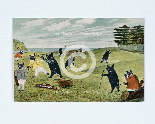 Golfing illustration, pigs on the golf course, c1930s. Creator: Unknown.