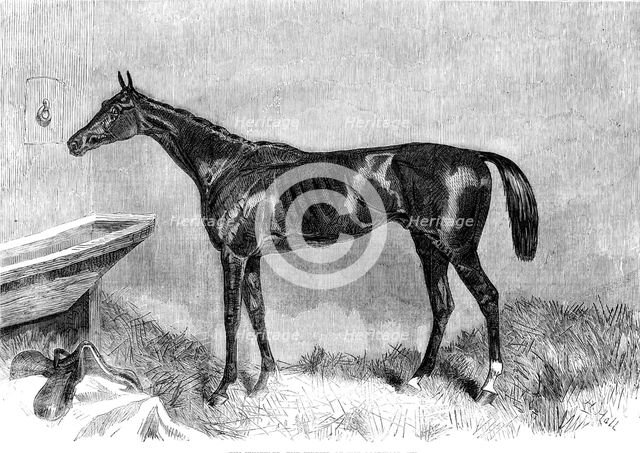 Goodwood Races: Tim Whiffler, the winner of the Goodwood Cup, 1862.  Creator: H. Hall.