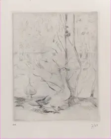 Goose, 1889. Creator: Berthe Morisot