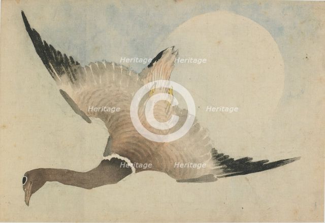 Goose flying in front of the moon, late 18th-early 19th century. Creator: Hokusai.