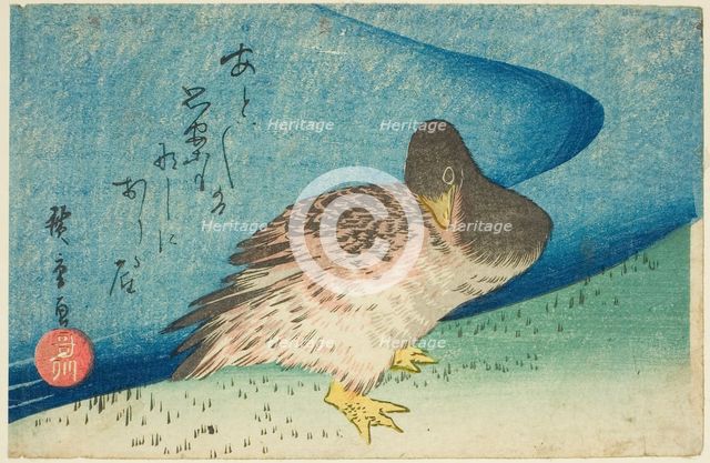 Goose on riverbank, c. 1833/34. Creator: Ando Hiroshige.