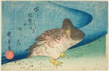 Goose on riverbank, c. 1833/34. Creator: Ando Hiroshige