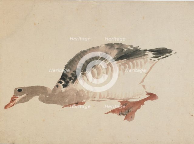 Goose, late 18th-early 19th century. Creator: Hokusai.