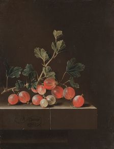 Gooseberries on a Table, 1701. Creator: Adriaen Coorte (Dutch, c. 1660-aft 1707)