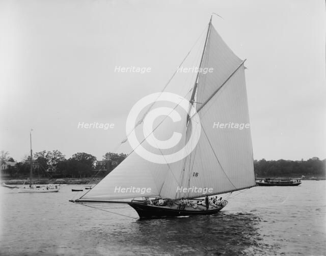 Gorilla, 1893. Creator: John S Johnston.