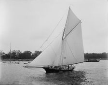 Gorilla, 1893. Creator: John S Johnston