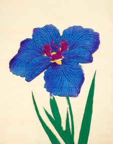 Gosetsu-No-Mai, No. 9, 1890, (colour woodblock print)