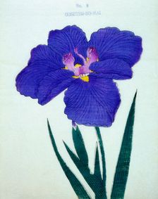 Gosetsu-No-Mai, No 9