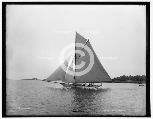 Gossoon, between 1880 and 1899. Creator: Unknown.