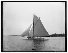 Gossoon, between 1880 and 1899. Creator: Unknown