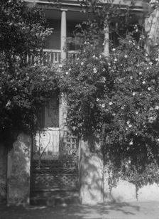 Gate to house garden, [George Eveleigh House, 39 Church Street], Charleston, South Ca..., c1920-1926 Creator: Arnold Genthe
