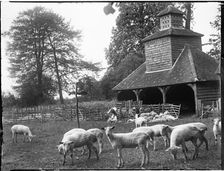 Gate Cottage, Dovecote, Horsenden, Princes Risborough, Wycombe, Buckinghamshire, 1918. Creator: Katherine Jean Macfee