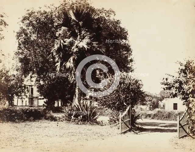 Gate Leading into Our House, 1850s. Creator: Captain R. B. Hill.