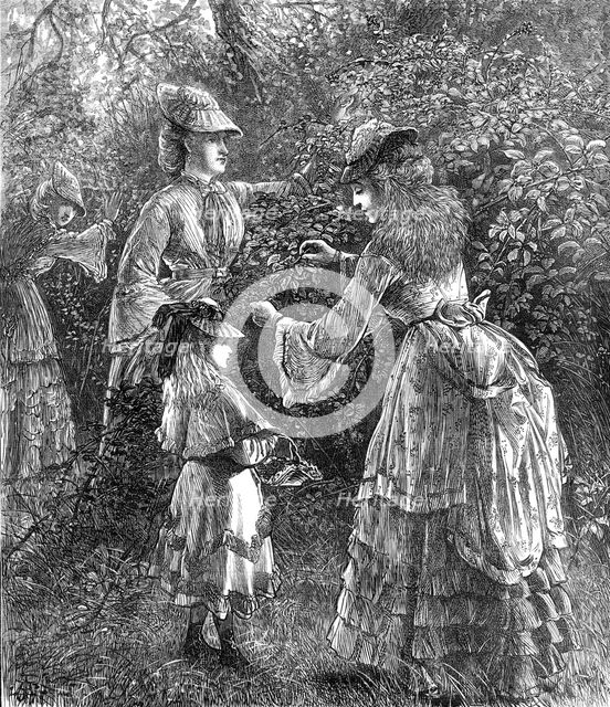 Gathering blackberries, 1872. Creator: Unknown.
