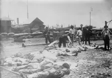 Gathering dead, Vera Cruz, 1914. Creator: Bain News Service