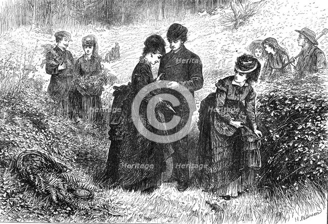 Gathering ferns, 1871. Creator: H Paterson.