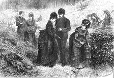 Gathering ferns, 1871. Creator: H Paterson