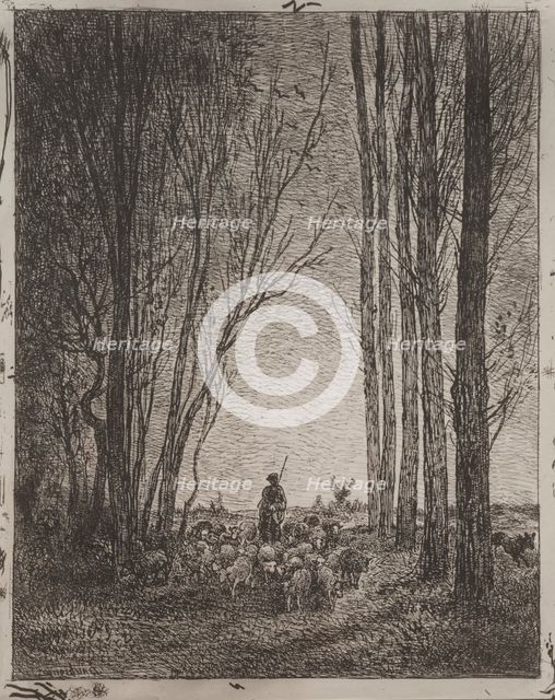 Gathering in the Flock, original impression 1862, printed in 1921. Creator: Charles François Daubigny (French, 1817-1878).