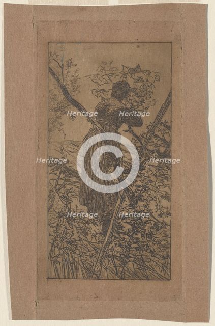 Gathering Leaves (Raccoglitrice di foglie), c. 1887. Creator: Giovanni Fattori.