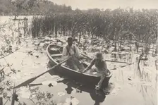 Gathering Water-Lilies, 1886. Creator: Dr Peter Henry Emerson