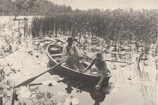 Gathering Water-Lilies, 1886. Creator: Dr Peter Henry Emerson
