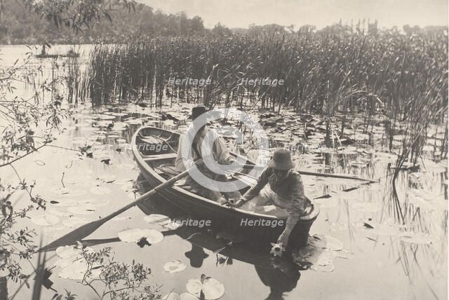Gathering Water-Lilies, 1886. Creator: Dr Peter Henry Emerson.